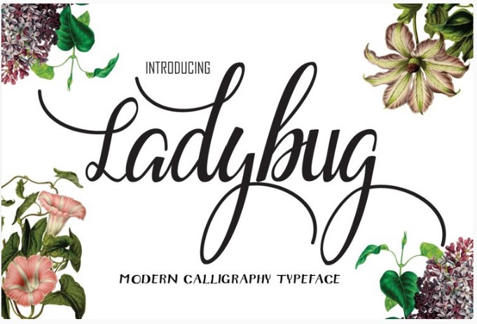 [Fontbundles] Ladybug Font (2021)_0.jpg